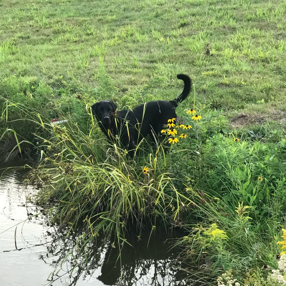 Meet your Posher, Taylor